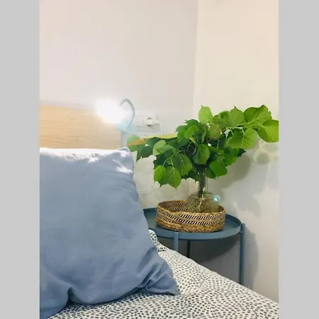Apartamento Centro Catedral Botanico Διαμέρισμα