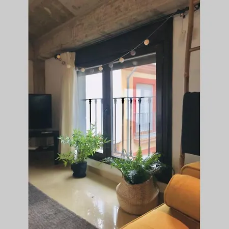 Apartamento Centro Catedral Botanico *